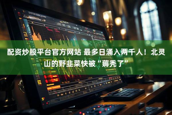 配资炒股平台官方网站 最多日涌入两千人！北灵山的野韭菜快被“薅秃了”
