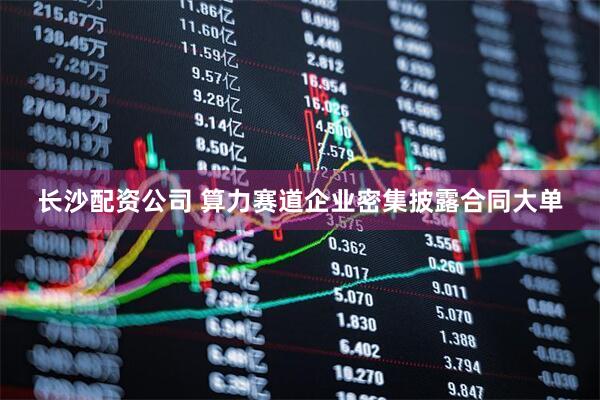 长沙配资公司 算力赛道企业密集披露合同大单